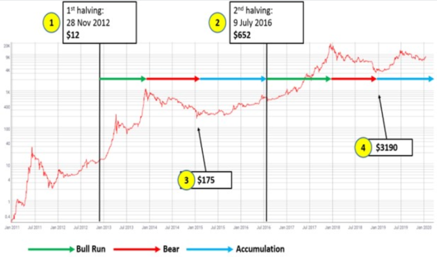 Bitcoin Halving Price Chart