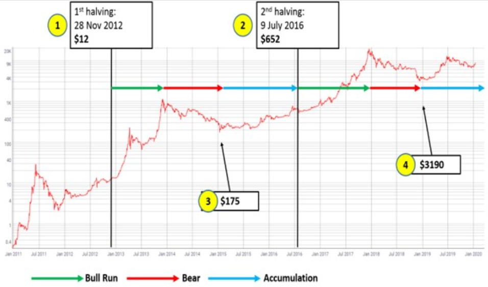 Will bitcoin go up or down after halving